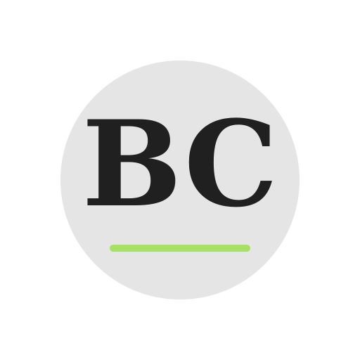 Boyle Chimney Services logo